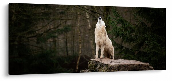 Tablou - Urletul lupului (120x50 cm)