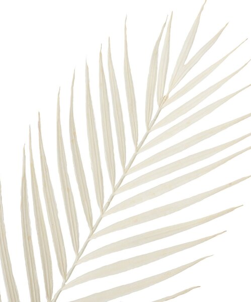 Ramură decorativă Palmera 95 cm white