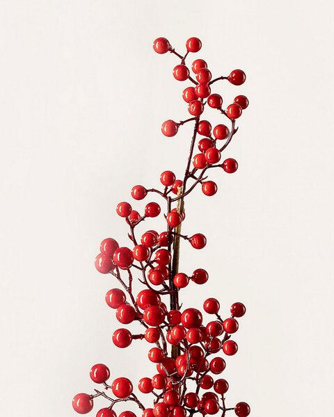 Ramură decorativă Cranberry 66 cm