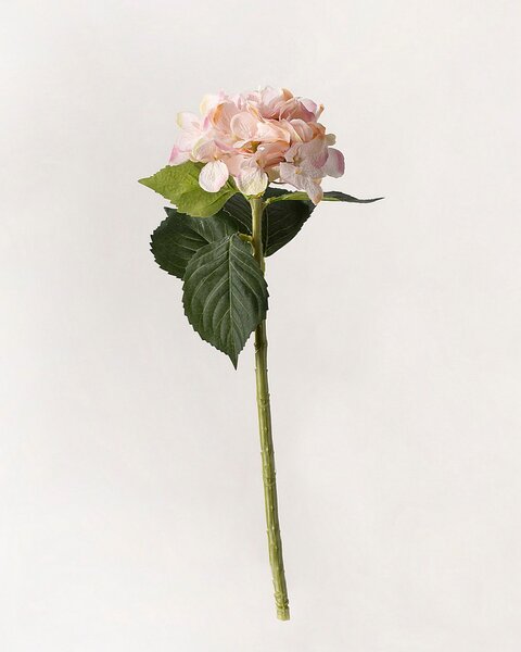 Ramură de hortensie 50 cm