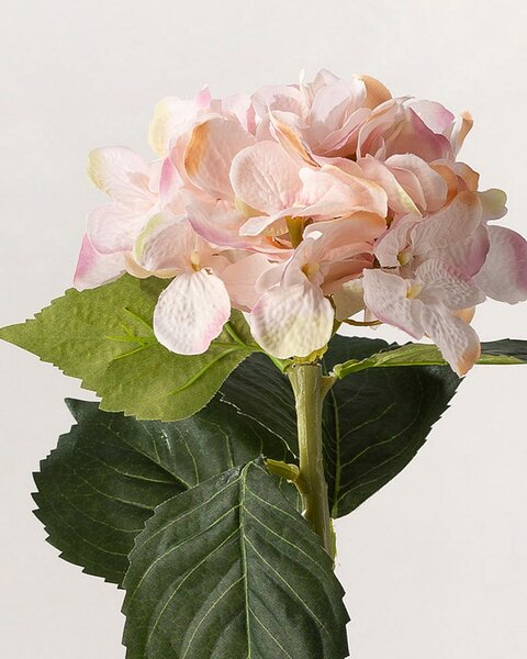Ramură de hortensie 50 cm