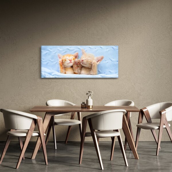 Tablou - Pisicuțe adormite (120x50 cm)
