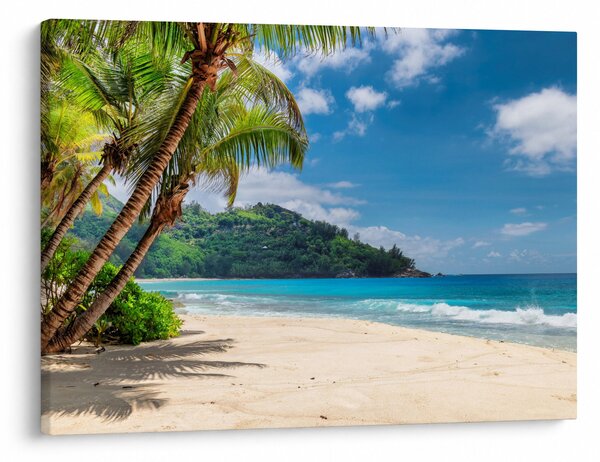 Tablou - Caraibe (70x50 cm)