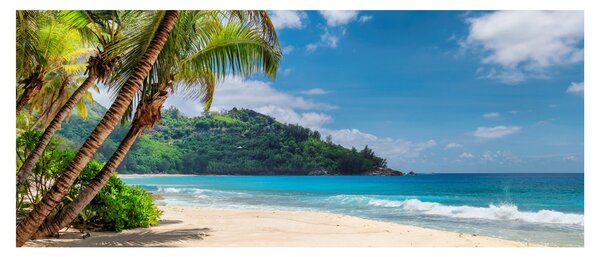 Tablou - Caraibe (120x50 cm)