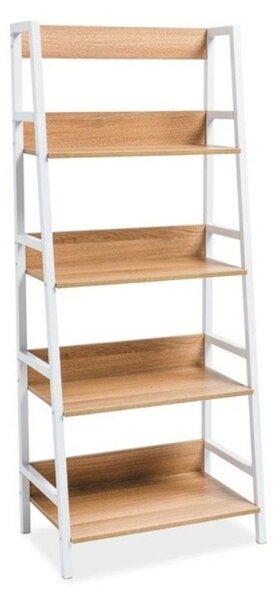 Raft Olsen, stejar