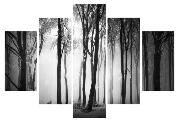 Tablou - Lup în pădurea întunecată (150x105 cm)