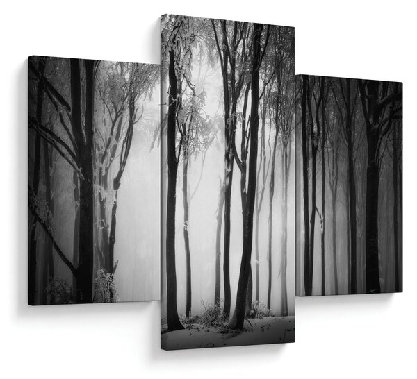 Tablou - Lup în pădurea întunecată (90x60 cm)