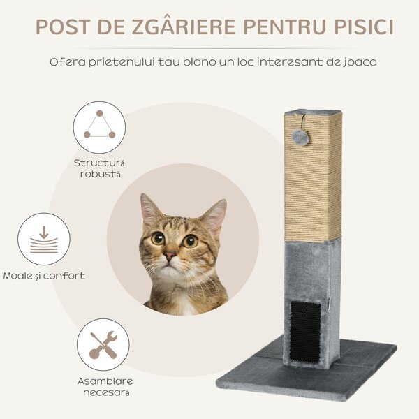 PawHut Ansamblu pentru Pisici cu 2 Mingi de Jucărie și Perie, 59.5x39x79 cm, Gri | Aosom Romania