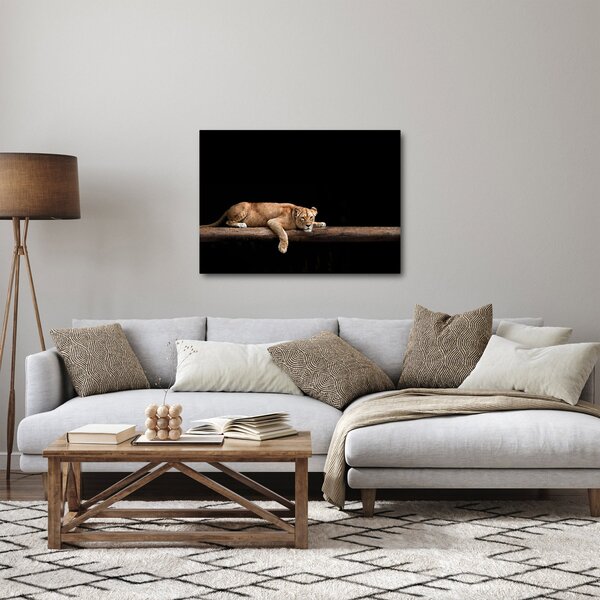 Tablou - Lioness (70x50 cm)