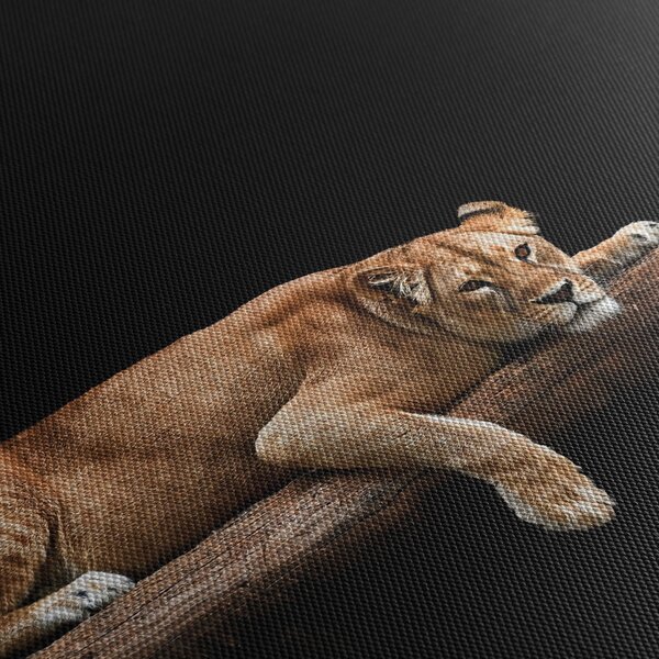 Tablou - Lioness (90x60 cm)