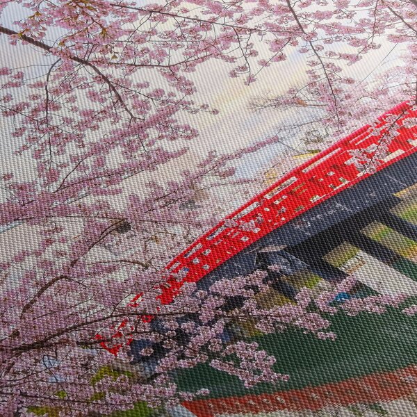 Tablou - Hirosaki, Japonia (90x60 cm)