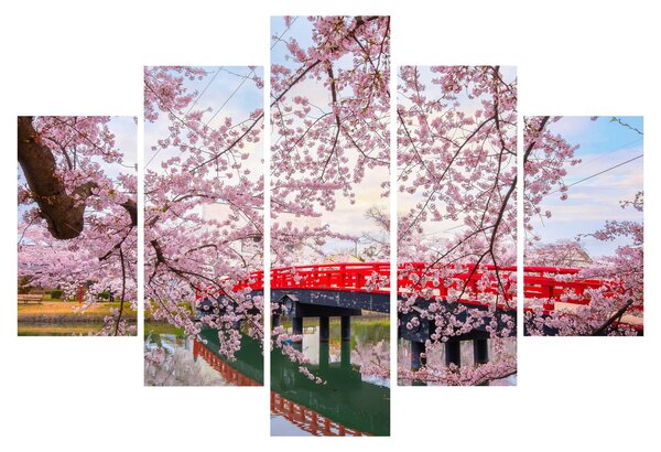 Tablou - Hirosaki, Japonia (150x105 cm)