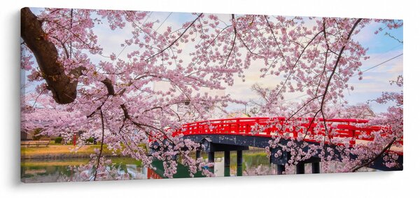 Tablou - Hirosaki, Japonia (120x50 cm)