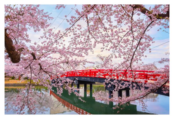 Tablou - Hirosaki, Japonia (90x60 cm)