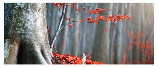 Tablou - Toamna (120x50 cm)