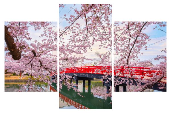 Tablou - Hirosaki, Japonia (90x60 cm)