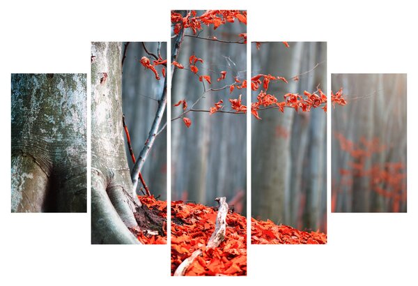 Tablou - Toamna (150x105 cm)