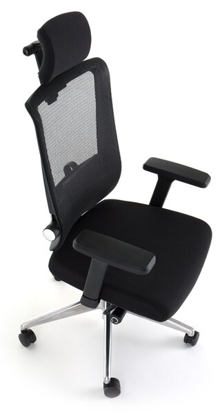 Scaun de birou Ergolux, negru