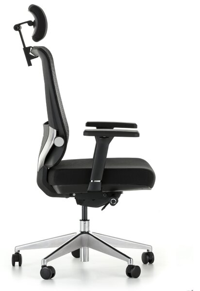 Scaun de birou Ergolux, negru