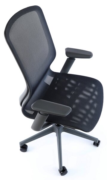 Scaun de birou Lareno, negru/gri