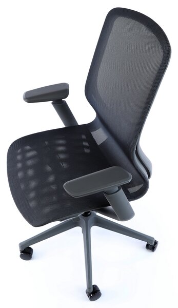Scaun de birou Lareno, negru/gri
