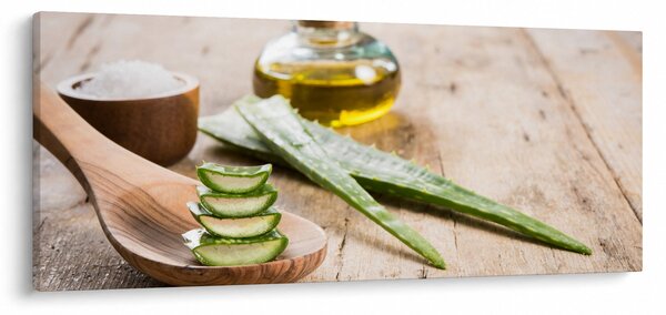Tablou - Aloe vera (120x50 cm)