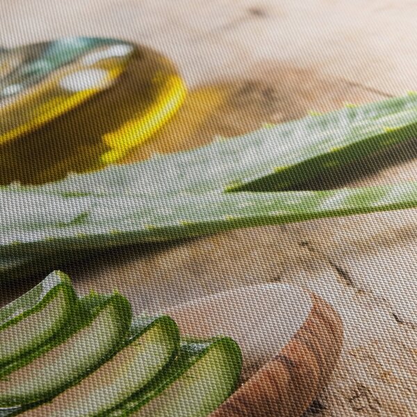 Tablou - Aloe vera (90x60 cm)