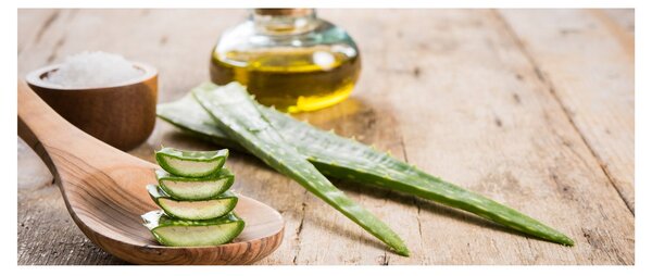 Tablou - Aloe vera (120x50 cm)