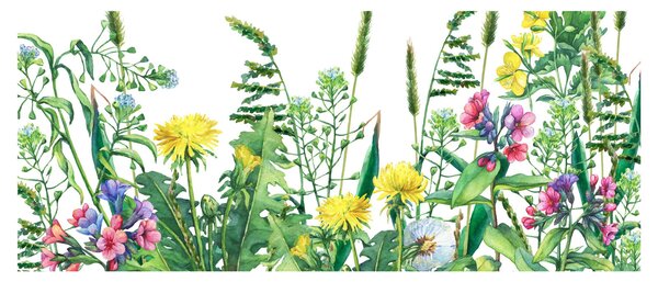 Tablou - Flori de pajiște pictate (120x50 cm)