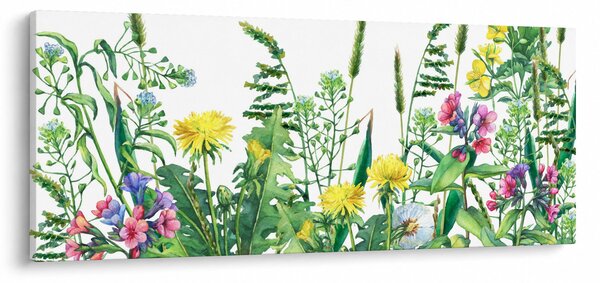 Tablou - Flori de pajiște pictate (120x50 cm)