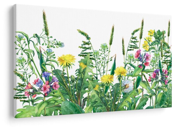 Tablou - Flori de pajiște pictate (90x60 cm)