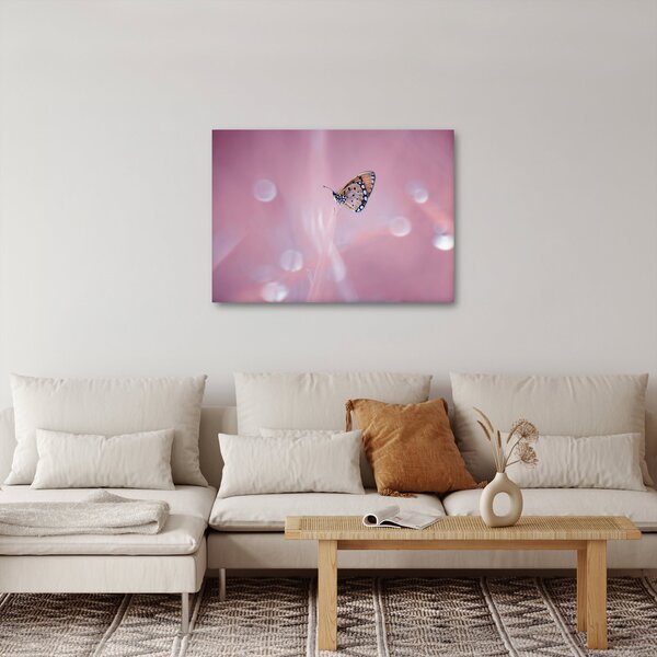 Tablou - Fluturele (70x50 cm)