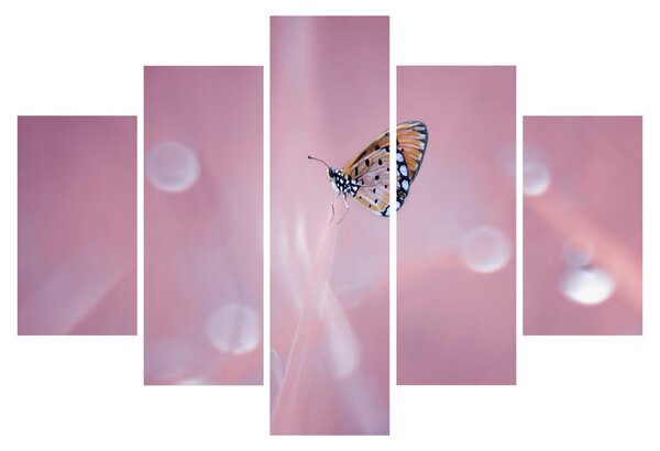 Tablou - Fluturele (150x105 cm)