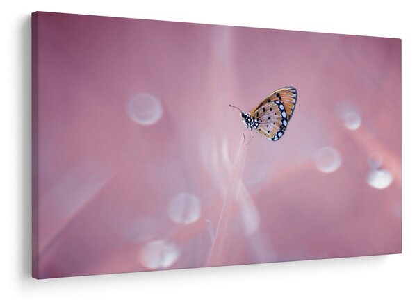 Tablou - Fluturele (90x60 cm)