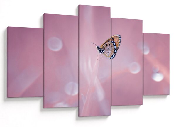 Tablou - Fluturele (150x105 cm)