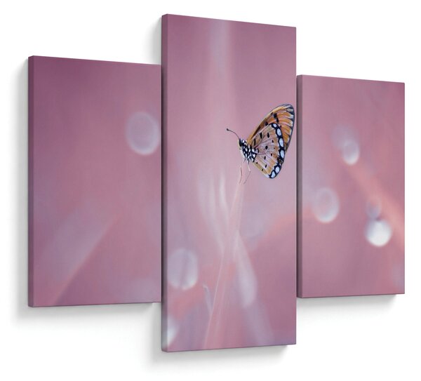 Tablou - Fluturele (90x60 cm)