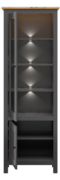 Vitrină Hesen REG1W1D/20/7 (cu iluminat LED) (grafit + Stejar artisan). 1062517