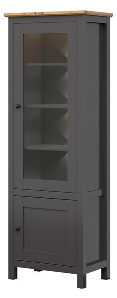 Vitrină Hesen REG1W1D/20/7 (cu iluminat LED) (grafit + Stejar artisan). 1062517
