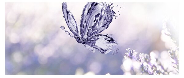 Tablou - Fluture și lavandă (120x50 cm)