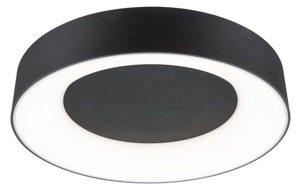 Plafoniere Paulmann, Casca, reglabil, Negru, Baie, Metal, Modern