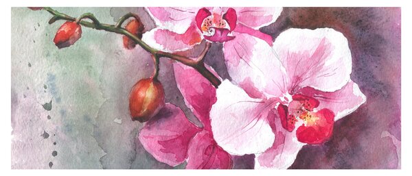 Tablou - Orhidee, acvariu (120x50 cm)