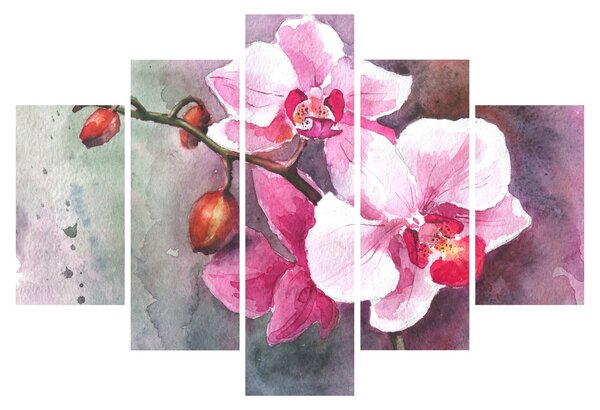Tablou - Orhidee, acvariu (150x105 cm)