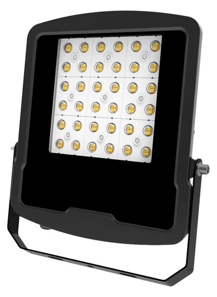 EVN Panthera LED reflector de exterior IP65 100W 4,000K, Negru, Metal, Spot de perete
