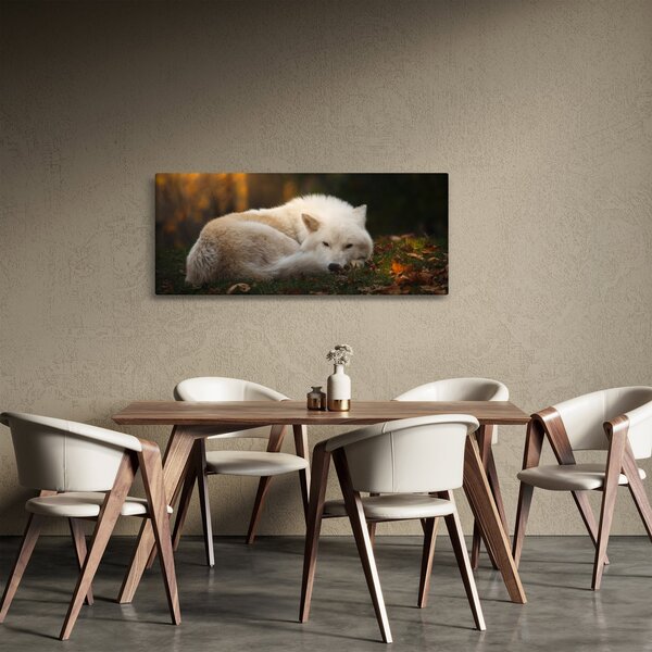 Tablou - Lupul care se odihnește (120x50 cm)