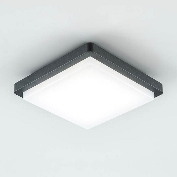 EVN Plafonieră LED pentru exterior Tectum, 23x23 cm, antracit, 150°, Negru, Metal, Modern