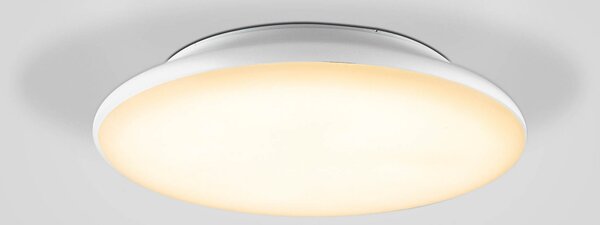 EVN Catino LED plafonieră cu LED, CCT, 25 cm, reglabil, Alb, Baie, Plastic, Modern