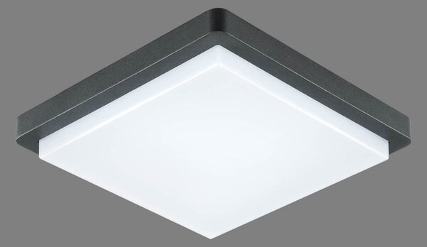 EVN Plafonieră LED pentru exterior Tectum, 23x23 cm, antracit, 150°, Negru, Metal, Modern