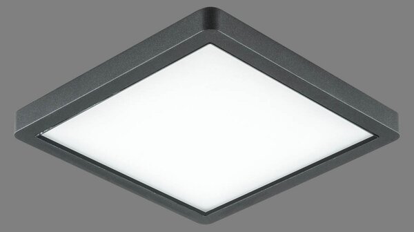 EVN Tectum plafonieră LED exterior, cu sticlă, Negru, Metal, Modern