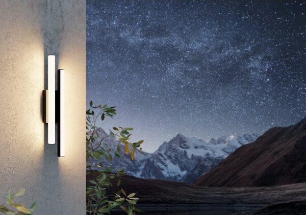 Aplică LED de exterior SARRICELLA 2xLED/4,2W/230V IP55 Eglo 900133