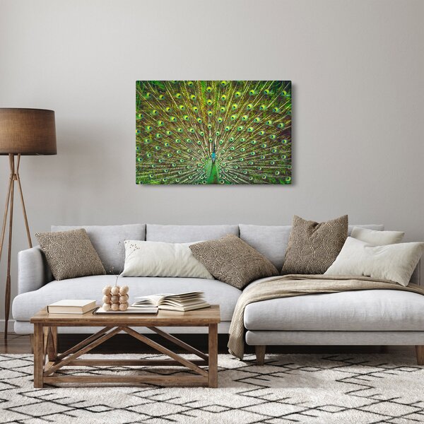 Tablou - Peacock (90x60 cm)